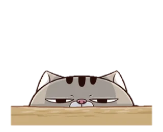 🐱 emoji Annoying Cat by @taerastickers Telegram sticker 5 of 11