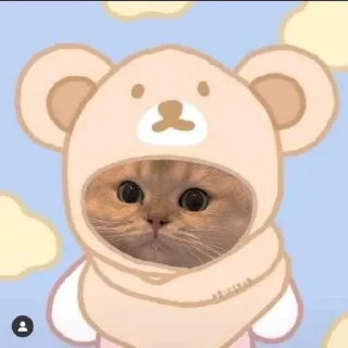 🌟 emoji @Opstickerpacks ✨cute cats⚡️🌸 Telegram sticker 23 of 36