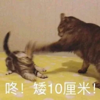 😠 emoji 萌物[@lspclub] Telegram sticker 12 of 52