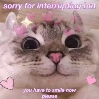 🐱 emoji ᴄᴜᴛᴇ ᴄᴀᴛs  || @loltickers Telegram sticker 7 of 46