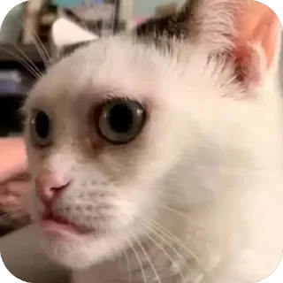 🫥 emoji hmm Telegram sticker 5 of 13