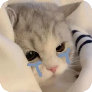 😿 emoji caa Telegram sticker 8 of 24
