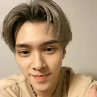 🐿 emoji ◡̈ hendery – @stickernct Telegram sticker 9 of 35