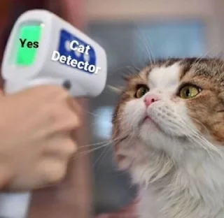 Sticker from Cool Catto
