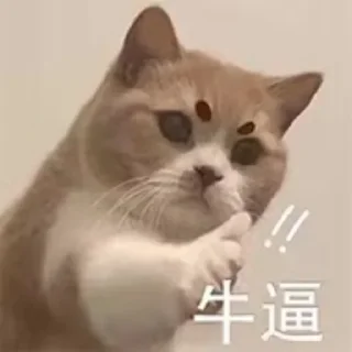 Sticker from 粉丝麻袋装小樱