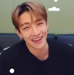 🐺 emoji Bangchan by @ecxecute Telegram sticker 12 of 22