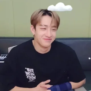 🐺 emoji Bangchan by @ecxecute Telegram sticker 11 of 22