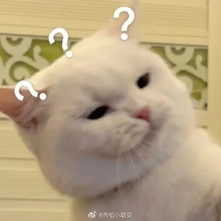 😾 emoji Punya kimi!! Telegram sticker 19 of 60