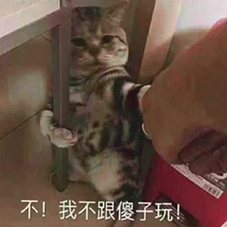 😂 emoji 在菲富婆狗推交流：@clarkvip6 Telegram sticker 21 of 72
