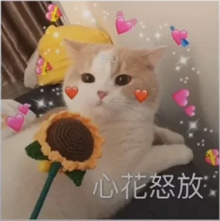 ❤️ emoji 煤球球 Telegram sticker 18 of 120