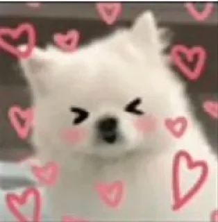 🐶 emoji Cute dog Telegram sticker 10 of 49
