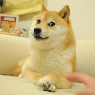 ⛅️ emoji Cheems Dog Supremacy Telegram sticker 14 of 120