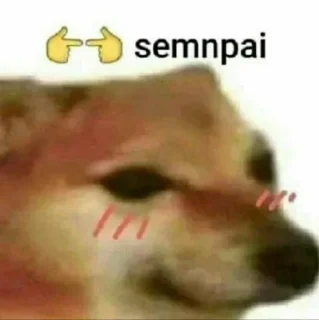 Sticker from Cheems Dog Supremacy