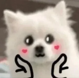 💗 emoji SHURA'S dog Telegram sticker 21 of 29