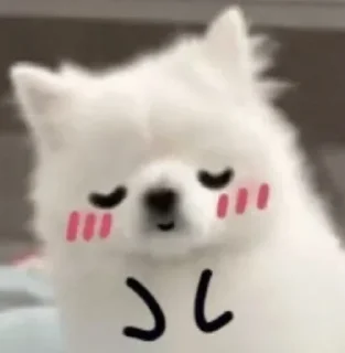 💗 emoji SHURA'S dog Telegram sticker 17 of 29