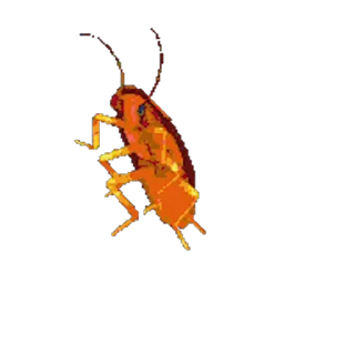 🤩 emoji 世界杯55%返佣⚽️ @zongjian Telegram sticker 14 of 48