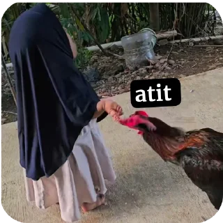 🐦 emoji ambil, kelap kelip Telegram sticker 23 of 30