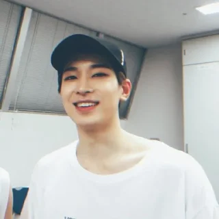 🍳 emoji ` wonwoo unfilt  —  @asteringall  🌻 Telegram sticker 2 of 27
