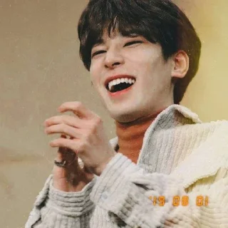 🍳 emoji ` wonwoo unfilt  —  @asteringall  🌻 Telegram sticker 22 of 27