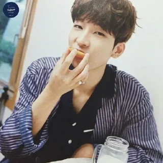 🍳 emoji ` wonwoo unfilt  —  @asteringall  🌻 Telegram sticker 15 of 27