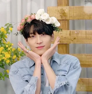 🍳 emoji ` wonwoo unfilt  —  @asteringall  🌻 Telegram sticker 3 of 27