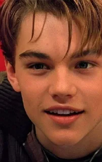 🖤 emoji Leonardo Dicaprio Telegram sticker 9 of 41