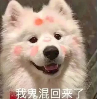 🤣 emoji 狗推素材 @sucai159 Telegram sticker 8 of 120