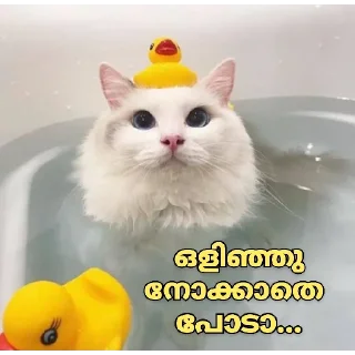 😂 emoji @Username_illaathavan Vol.8 Telegram sticker 10 of 120