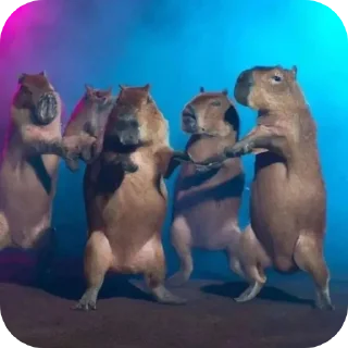 🐶 emoji Capybara Telegram sticker 10 of 69