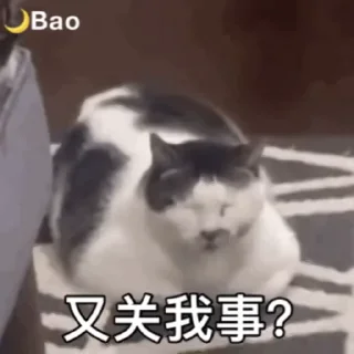 🐱 emoji 表情包库🥰  @tutuBQ1 Telegram sticker 5 of 50