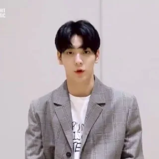 Sticker from SOOBINS @csoobinies