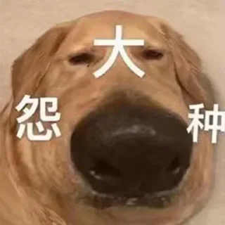 🥹 emoji 斗图备用群 @dtbqb66 Telegram sticker 24 of 92