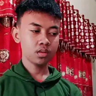😒 emoji Udin Telegram sticker 6 of 31