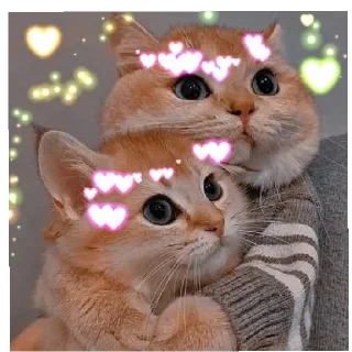 💞 emoji Mehr pack don't steal it Telegram sticker 14 of 48