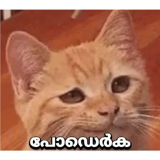 😏 emoji Noob Telegram sticker 20 of 64