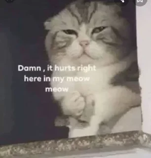 🐱 emoji Pussy Cat by  「 @OWNER_OF_S0UL 」 Telegram sticker 18 of 22