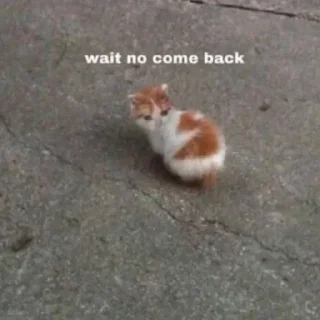 ◀️ emoji Pussy Cat by  「 @OWNER_OF_S0UL 」 Telegram sticker 22 of 22