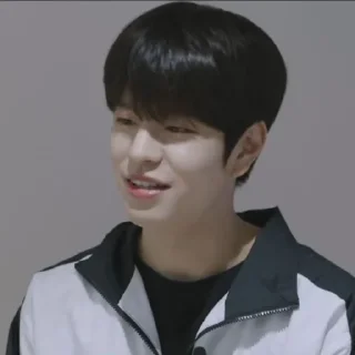 💖 emoji Seungmin - @RAYN_JAR Telegram sticker 20 of 43