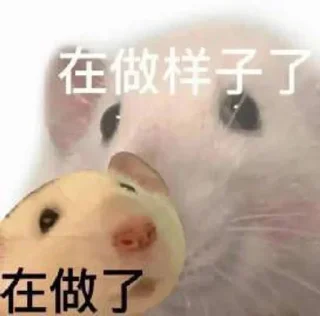 ☺️ emoji 鼠鼠的表情包合集2 @shushukeainie Telegram sticker 20 of 94