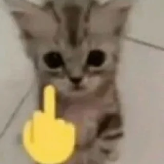 🖕 emoji animal Telegram sticker 13 of 29