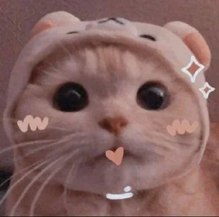 😍 emoji Lulu Telegram sticker 16 of 51