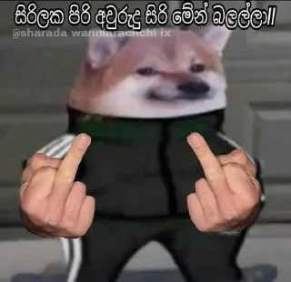 Sticker from Tempary pac