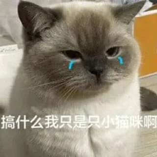 😮‍💨 emoji 西港便民服务中 @JPZDHS Telegram sticker 13 of 110