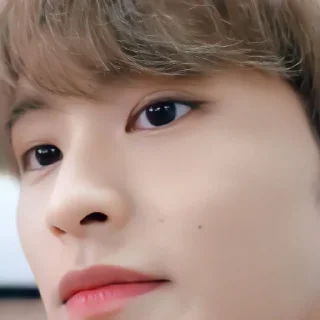 🎸 emoji ＃. Mark Lee ✗ @StickerNct★ Telegram sticker 15 of 35