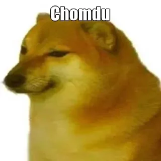 😑 emoji ᴘʀɪʏᴀɴsʜᴜ ᴏᴘ ᴘᴀᴍᴄᴋ | | @PreciousUsernameStealDone Telegram sticker 5 of 36