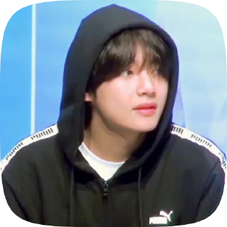 🐯 emoji taehyung 4 @cagulnoona Telegram sticker 7 of 19