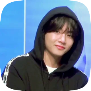 🐯 emoji taehyung 4 @cagulnoona Telegram sticker 15 of 19