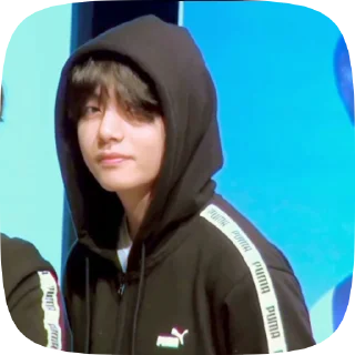 🐯 emoji taehyung 4 @cagulnoona Telegram sticker 19 of 19