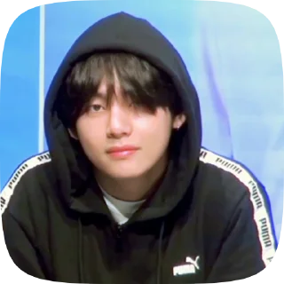 🐯 emoji taehyung 4 @cagulnoona Telegram sticker 8 of 19