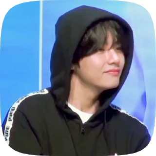 🐯 emoji taehyung 4 @cagulnoona Telegram sticker 16 of 19